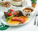 【数量限定】スープセット ボルシチ(サラダ+デザート付き) Soup Set - Borscht (Comes with Salad)（gram 大須店）