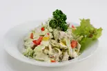 Chicken Salad チキンサラダ(ニルワナム 南インド料理レストラン 銀座店 Nirwanam North-South Indian Restaurant Ginza)