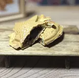 チョコレート（浅草たい焼き工房 求楽）