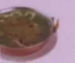 ベジタブルほうれん草カレー（Taste Nepal）