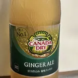ジンジャーエール 500ml（インド。アジアン料理ダナパニ光が丘店）