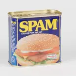肉食炙りランチョンミート追加 Pork Luncheon Meat Slices（とろ〜り温玉とフレッシュ野菜のタコライス 新川崎鹿島田店）