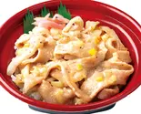 豚とろ焼肉2倍！丼～瀬戸内レモン使用ネギ塩だれ～（キッチンオリジン ジョルノ堺東）