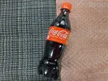 コカ・コーラ 500ml（グリーンパーク）