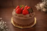 苺ショコラ 4号(Sweetsbox Trepo)