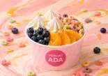 レインボーオレンジルーツコンボ Rainbow Orange Roots Combo 레인보우 오렌지 뿌리 콤보（アサイーボウル＆ヨーグルトアイス専門店）