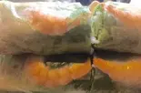 生春巻き(2本) GỎI CUỐN( 2 cay)（フォーゴン）