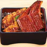 タレうなかつ重（うなぎ２枚）（かつ庵 鶴見中央店）