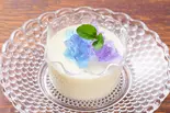 パンナコッタ（Tearoom CRUMBLE）
