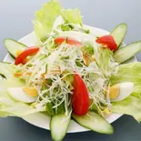 グリーンサラダ・Green Salad（カレーハウス向ヶ丘遊園）
