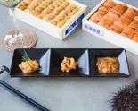 厳選生ウニ3種盛り合わせ 3 kinds of UNI Sashimi(UNIHOLIC)