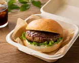 ハンバーグサンド（カフェ ジャンティ cikappo）