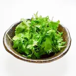 パクチー盛り(10g)（タイ屋台居酒屋 ガムランディー）