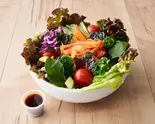 キムチサラダKimchi salad（牛とスープの東大門市場 神楽坂店）