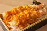 天然エビの天とじ丼（本格弁当にしや）