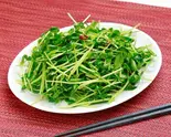 豆苗炒め Stir-Fried Bean Sprouts(中華食堂一番館)
