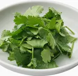 香菜 パクチー Cilantro（肥鶏土鍋）