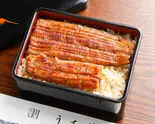 江戸前鰻重 松(うな藤)