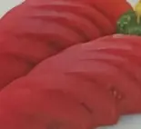 冷やしトマト（本格中華料理 東盛軒）