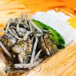 若鶏ももともやしの塩炭火焼弁当(地鶏食堂じん.日赤通り)