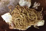 豚焼きそば（お好み焼きくる）