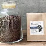 グアテマラ・ラ・アサンシオン農協 ラス・モラス(100g+デリバリー限定10%増量) GUATEMALA-LA ASANCION AGRICULTURAL(Ammonite Coffee Market 早稲田)