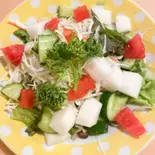 ウェスタンサラダ/Western Salad（インド料理シータラ）