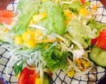 グリーンサラダGreen salad（Kabita curry house ＆ spic mart）