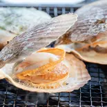 ホタテの塩焼き(糸島海鮮牡蠣小屋OKU ITO)