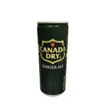 ジンジャーエール250ml（韓国居酒屋ぶりやチカチキン三宮店）
