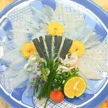 天然虎ふぐのお刺身 (小)（すし藤）