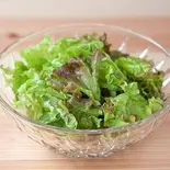 オリーブオイルのグリーンサラダ green salad（東京ねばとろ.都立大学駅前店 とろろ昆布汁とねばとろ丼 tokyo neba-toro bowl）