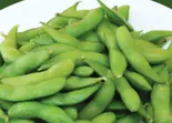 枝豆 Eda Mame（Purnima Restaurant＆Cafe）