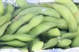 枝豆 (edamame)（ミラン レストラン）