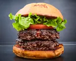 DH ダブルハンバーガー DoubleHamburger(SHOGUN BURGER 横浜赤レンガ倉庫店)