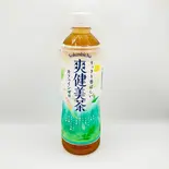 爽健美茶 Tea（極太春雨 白金店）