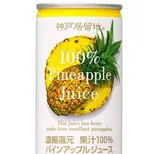 パインアップル pineapple juice（ケバブ Rain【立川店】）