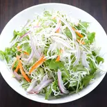 グリーンサラダ (Green Salad)(エベレストキッチン)
