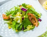 野菜サラダ（天府苑）