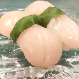 ホタテ（魚がし寿司）