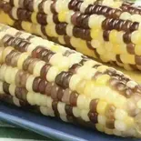 蒸紫粘玉米2个（友誼食府 立川店）