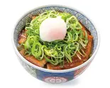 ねぎ玉豚丼〈メガ〉（元祖豚丼屋TONTON旗の台店）