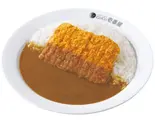 チキンカツカレー（カレーハウスCoCo壱番屋 博多区住吉店）