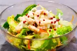 タンドリーサラダ Tandor Salad（HOT NAAN Nepali Indian Restaurant）
