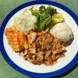 CHICKEN DONER ドネル/ 鶏肉削ぎ切り ( HALAL)  トルコ料理（トルコ料理ボスボラスハサン新宿店）