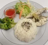 蒸し鶏胸肉とご飯（Variety）