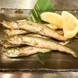 ししゃも（居酒屋 浅い月会い）