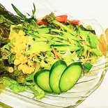 グリーンサラダ Green Salad（インドアジアンキッチン シリジャナ）
