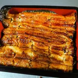 太物一本青うなぎ（八べえ）