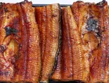 うな重「二匹」(うなぎと日本料理 今助)